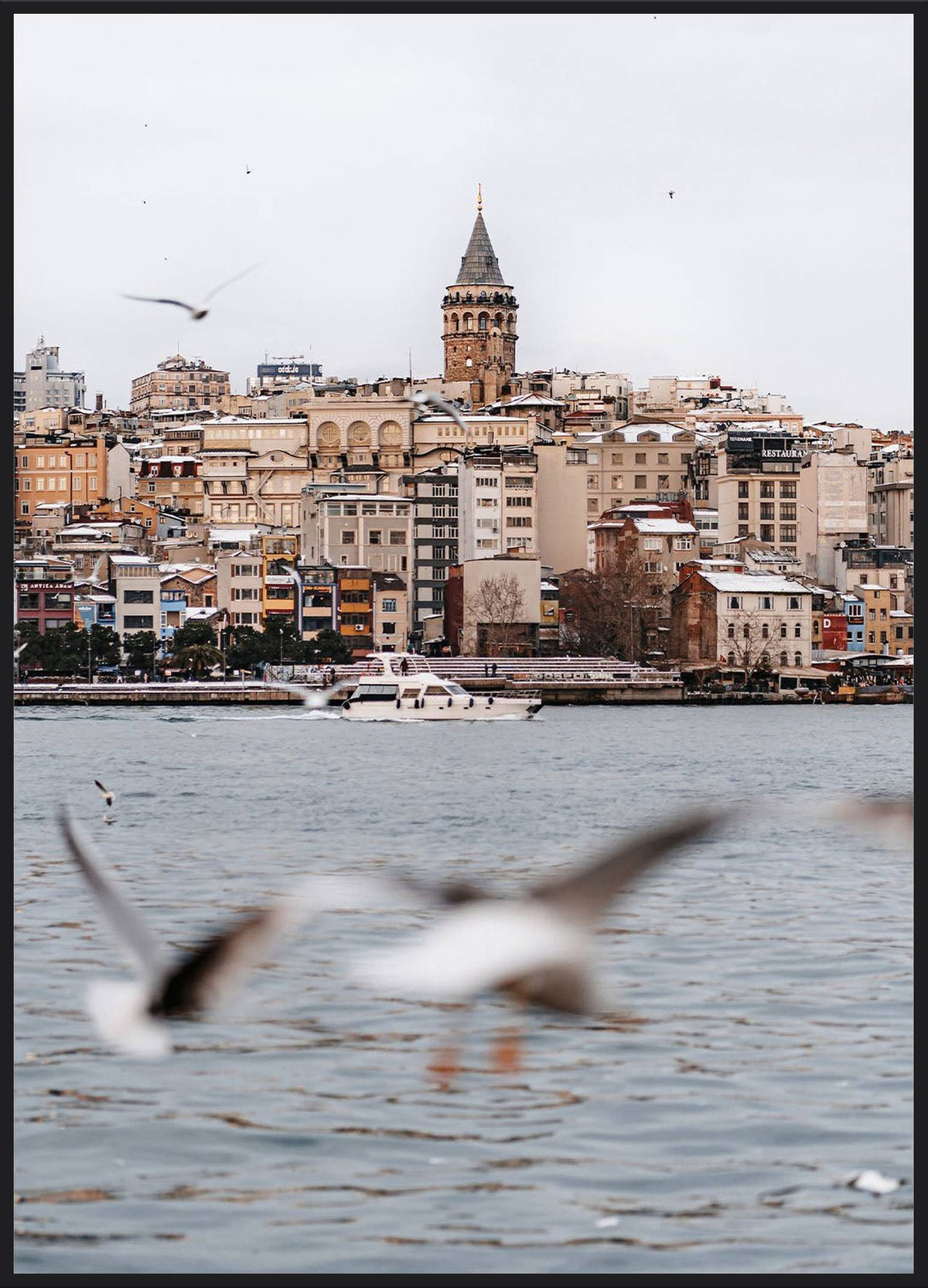 Galataturm Poster – Blick über das Goldene Horn auf den Galataturm mit Möwen, Istanbul Fotografie