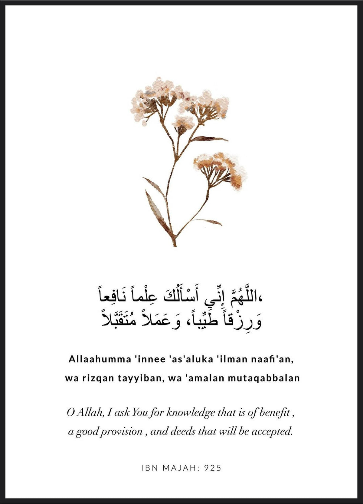 Ibn Majah Poster – Bittgebet um nützliches Wissen mit getrockneten Blüten auf Weiß