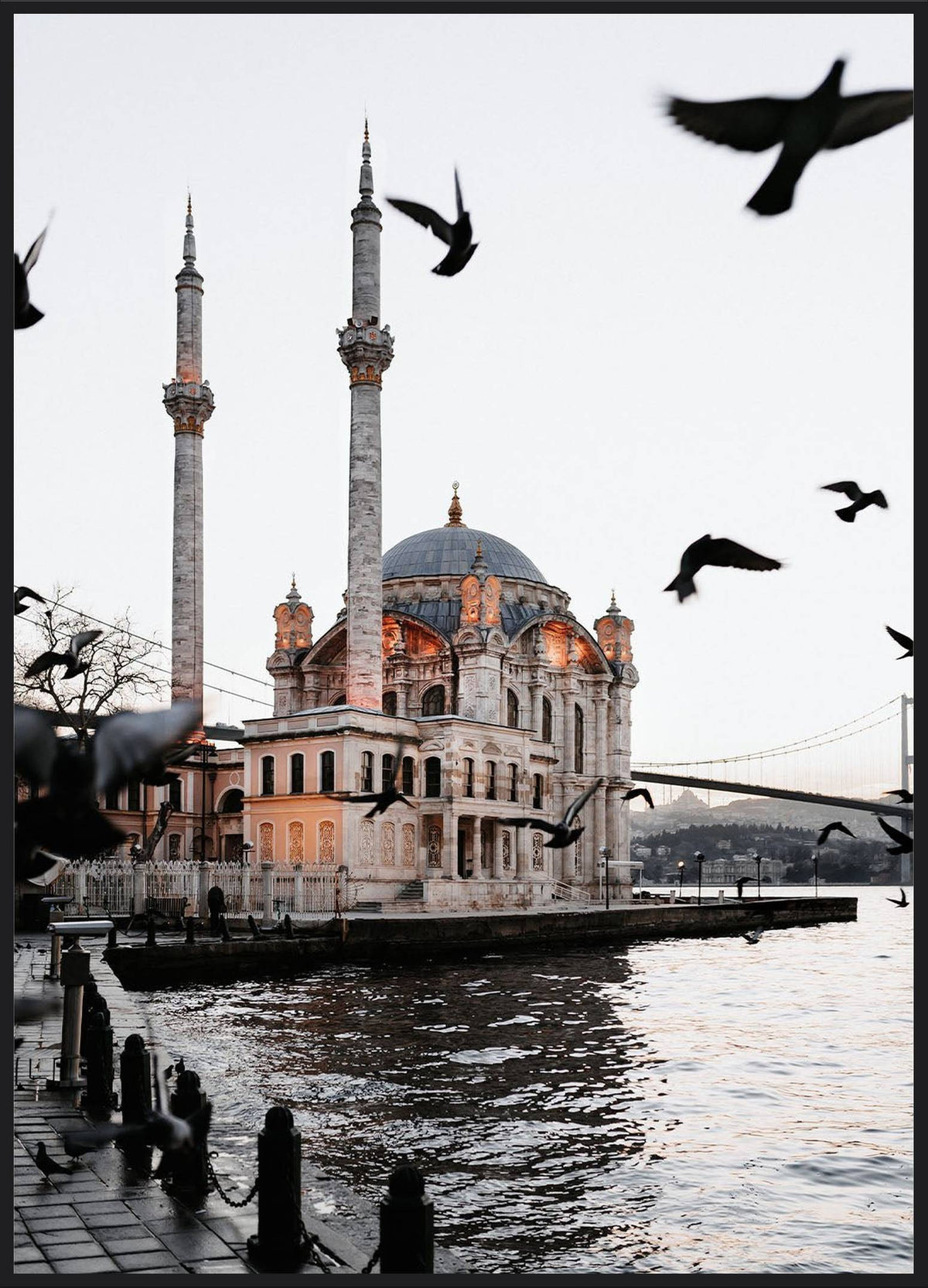 Ortaköy Moschee Poster – Moschee am Bosporus mit Möwen und Brücke, Istanbul Fotografie